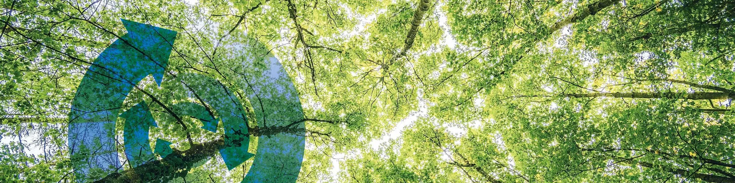 ffag header nachhaltigkeit XL 1