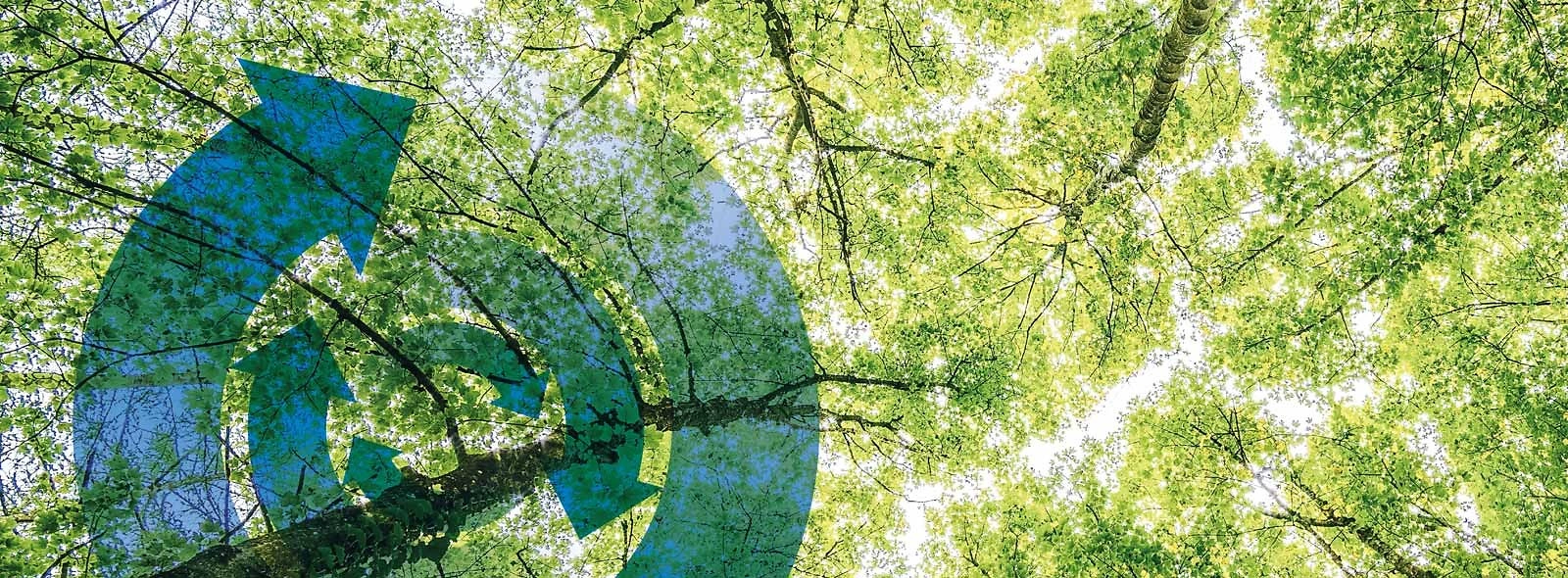 ffag header nachhaltigkeit XL