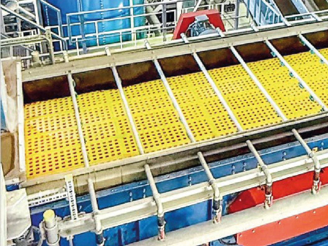 Fruehlingsflyer 2026 News