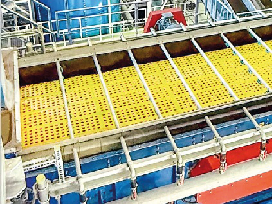 Fruehlingsflyer 2026 News