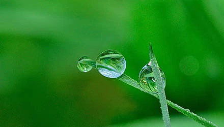 Kreislaufwirtschaft 1