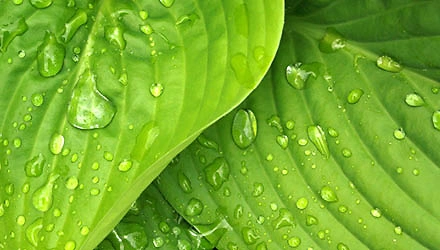 Kreislaufwirtschaft 4