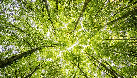 Kreislaufwirtschaft 5