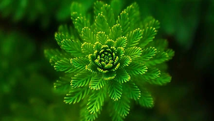 Kreislaufwirtschaft 6