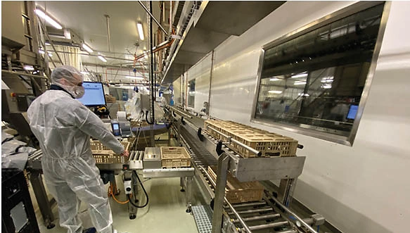 Gesamtprojektleitung