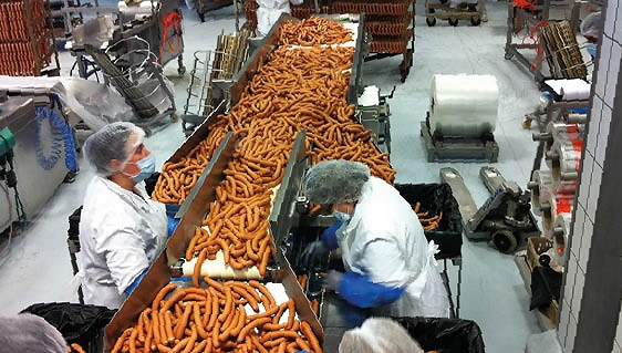 Fisch, Fleisch, Geflügel